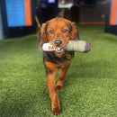 Colorful Plush Squeaky Toy Stogie