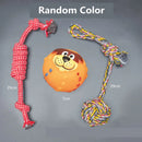 Complete Dog Toy Kit