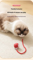 Rechargeable Interactive Smart Cat Toy