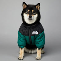 Winter Dog Down Jacket - Warm Thick Vest