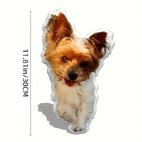 Custom Pet Photo Pillow