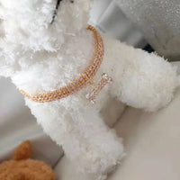 Crystal Rhinestone Dog Collar