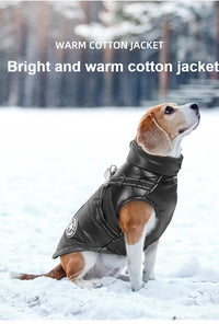 Waterproof Thermal Dog Jacket by Tail chasers