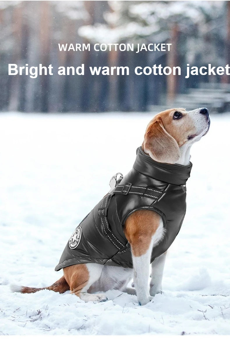 Waterproof Thermal Dog Jacket by Tail chasers