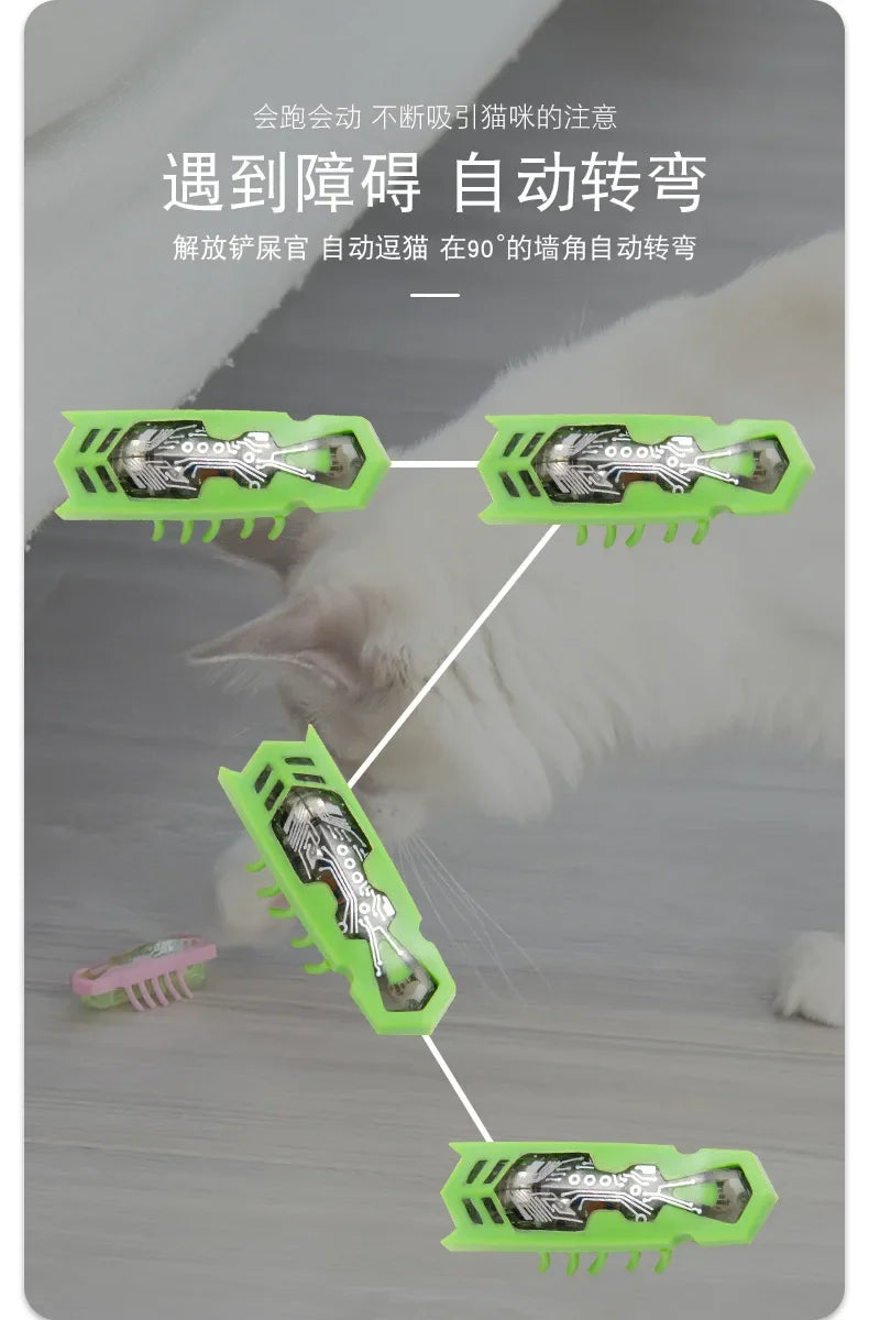 1PC Automatic Electric Bug Cat Toy Flips Moves Battery Operated Interactive PetToy for Cats Small Dogs Funny Beetle Play withLED
