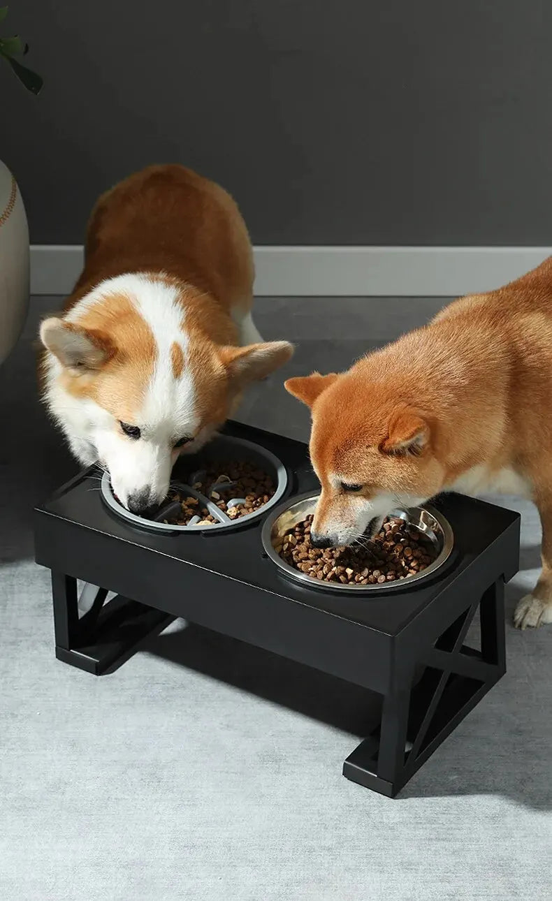 Adjustable Height Elevated Dog Bowls