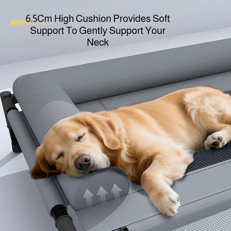 Medium and large cat and dog off-the-ground bed