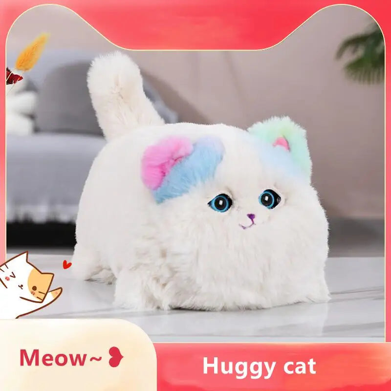 Huggy cat
