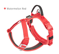 No-Pull Reflective Dog Harness - Adjustable Vest