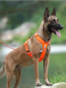 No-Pull Reflective Dog Harness - Adjustable Vest