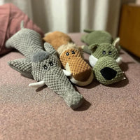 Dog Molar Toys by Tail chasers