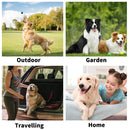 Fresh Pet Grooming Wipes