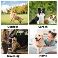 Fresh Pet Grooming Wipes