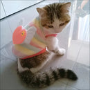 Teacup Dog Sweater - Cute Print Design for Tiny Dogs