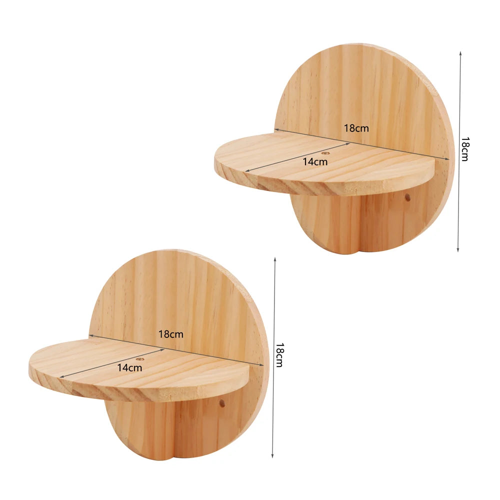 S3f8d7576ce4d43a1b6f714cae18af4fe6