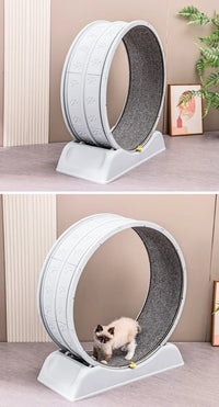 Large Exercise Wheel for Active Cats