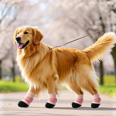 Waterproof Outdoor Dog Walking Shoes