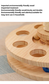 Interactive Cat Scratching Board - Wood Carousel Puzzle & Claw Care Station