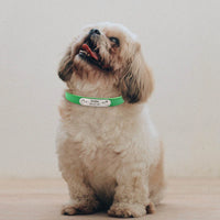 Personalized Engraved Leather Dog Collar