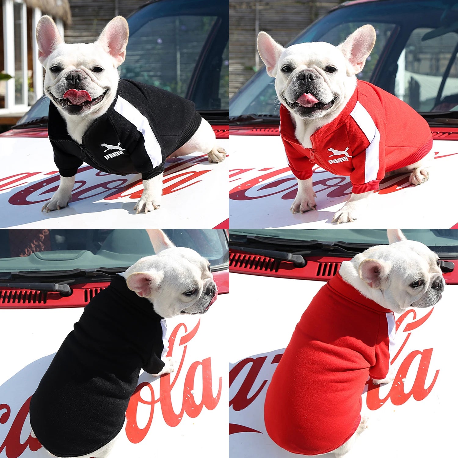 Cozy Winter Puma Dog Coat