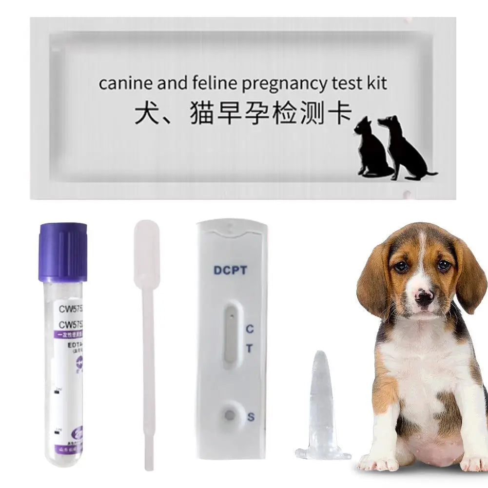 Dog Pregnancy Test Kit - Get Peace of Mind in Just 15 Minutes