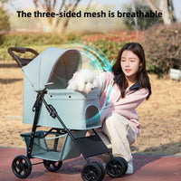 S48906e386fd94059a47382ea01896852e