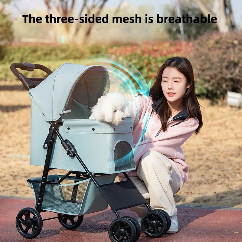 S48906e386fd94059a47382ea01896852e