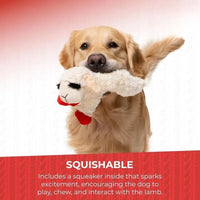 Soft Squeaky Plush Toy