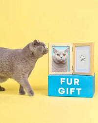 Paw Print Memory Kit - Capture Forever Moments