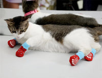 Pet Knit Sock Slippers - 4-Piece