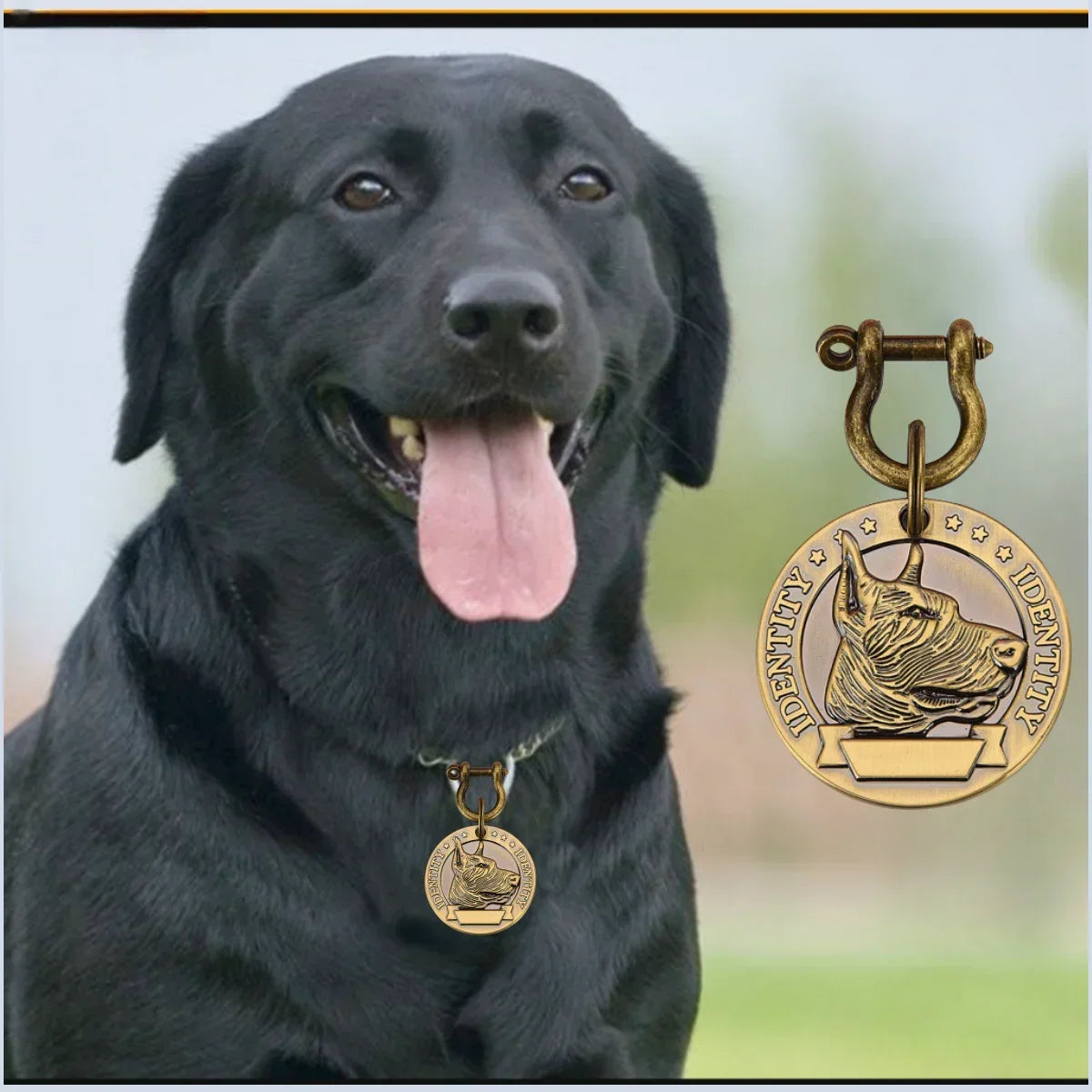 Personalized Bronze Pet ID Tag