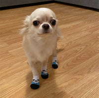 Pet Knit Sock Slippers - 4-Piece