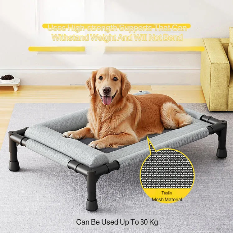 Elevated Pet Bed - Breathable Mesh for Medium & Large Dogs/Cats