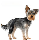 S5564b49adc7743029d08bb9f85ad04511