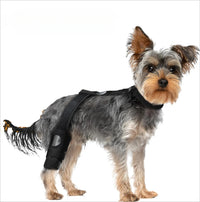 S5564b49adc7743029d08bb9f85ad04511