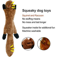 Crinkle No-Stuffing Squeaky Toy