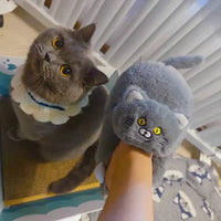 Cuddly Kawaii Cat Winter Slippers