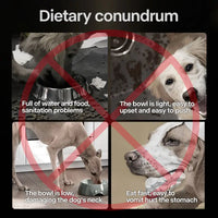 Collapsible Elevated Dog Bowls - Adjustable Stand with Double Stainless Steel Bowls