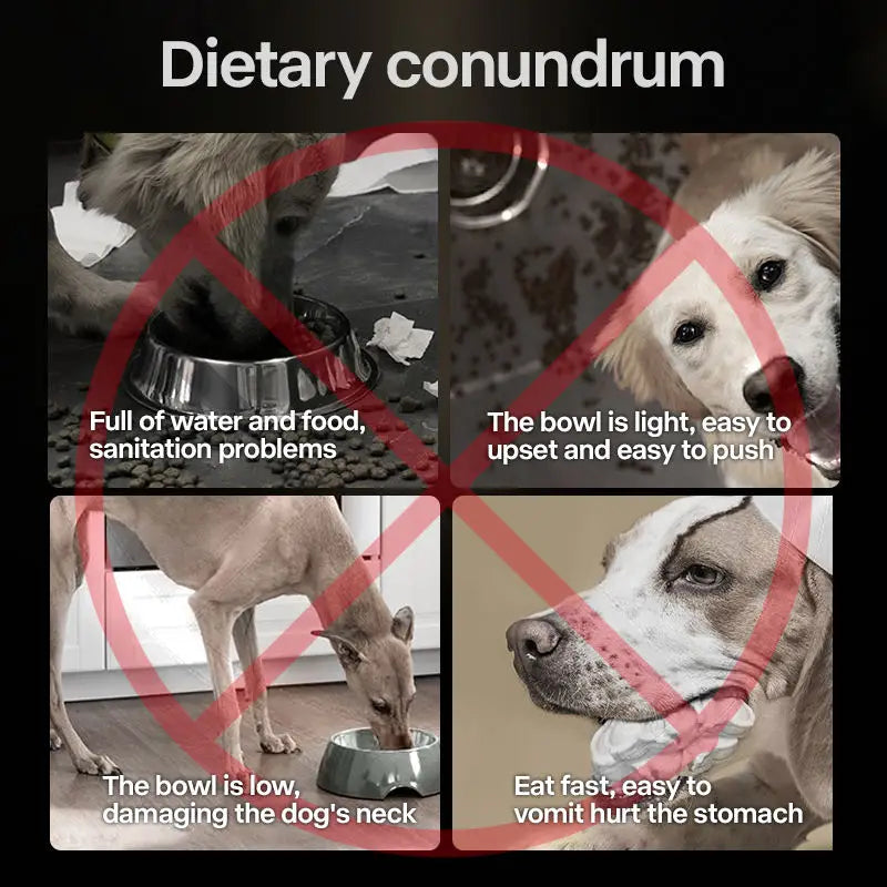 Collapsible Elevated Dog Bowls - Adjustable Stand with Double Stainless Steel Bowls