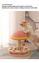 Interactive Cat Scratching Board - Wood Carousel Puzzle & Claw Care Station