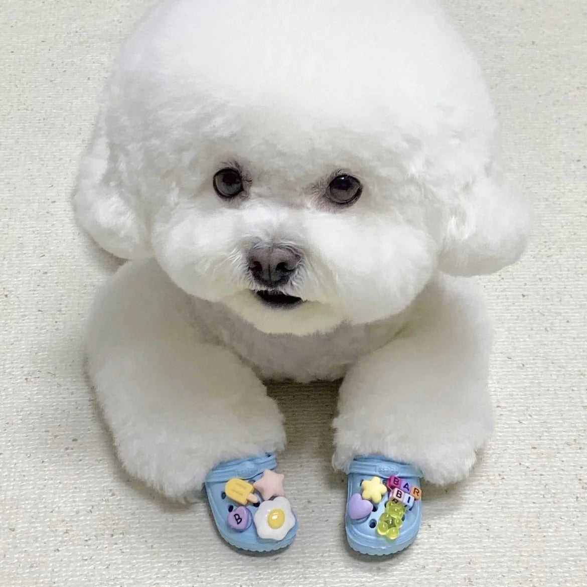 🏖️ Trendy Pet Beach Shoes - Instagram-Worthy Breathable Paradise with DIY Charm