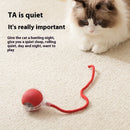 Rechargeable Interactive Smart Cat Toy