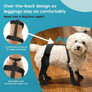 🥾 Waterproof Dog Boots - Ultimate All-Weather Paw Protectors with Non-Slip Grip
