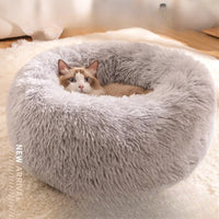All-Season Cat Beds