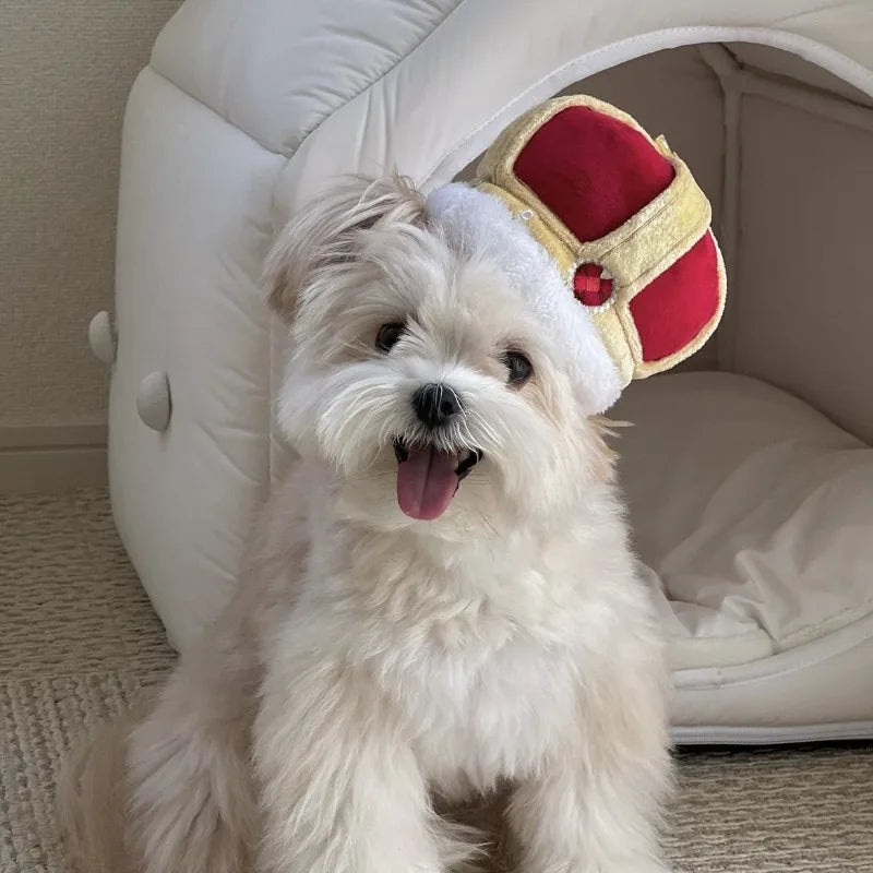 Luxury Pet Costume Set - Shiny Crown & Necklace for Dogs & Cats