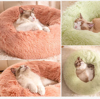 All-Season Cat Beds