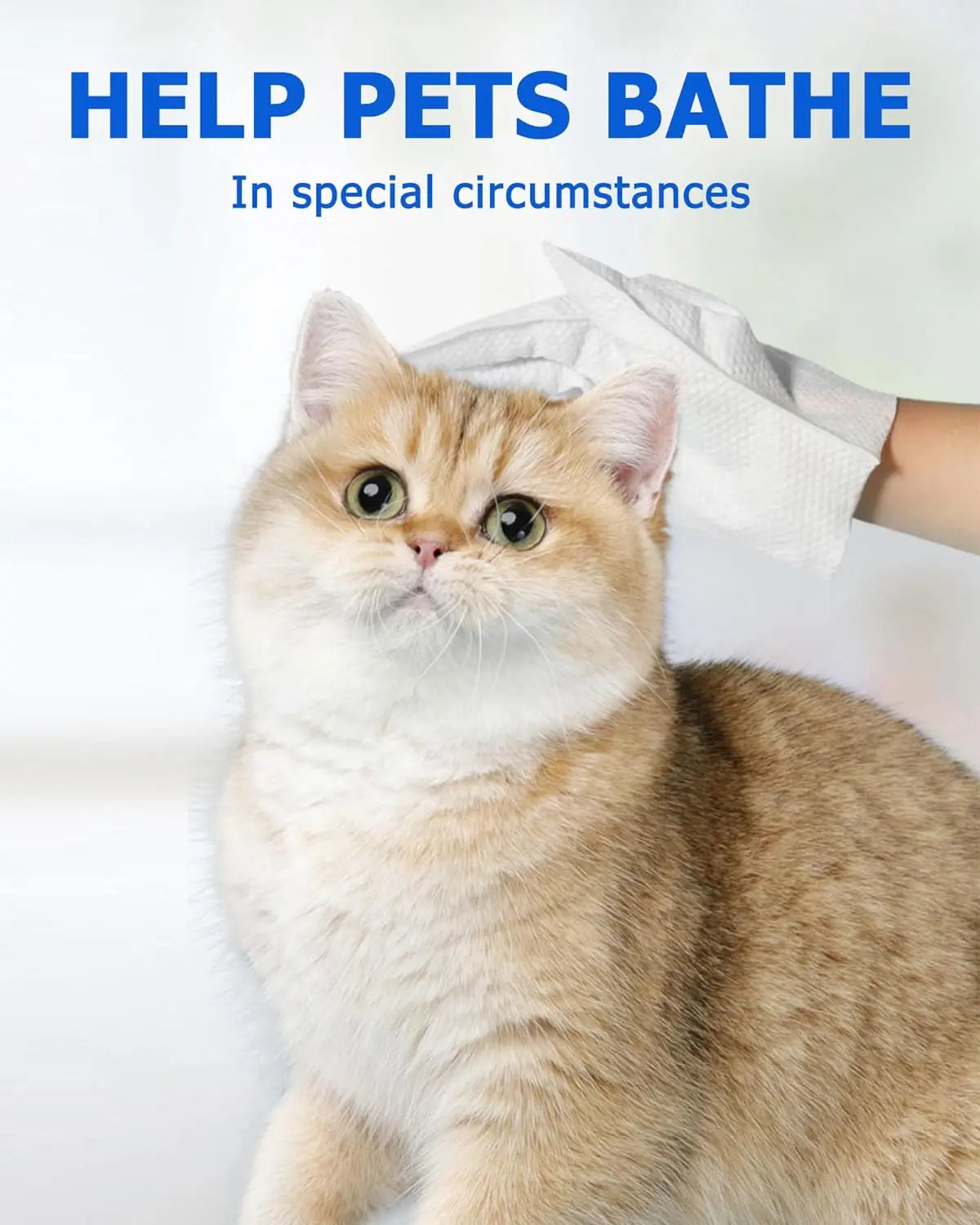 Fresh Pet Grooming Wipes