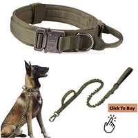Adjustable Metal Double Buckle Tactical Dog Collar Luxury Designer Training Collar Dog German Shepherd For Medium Large Dogs by Tail chasers