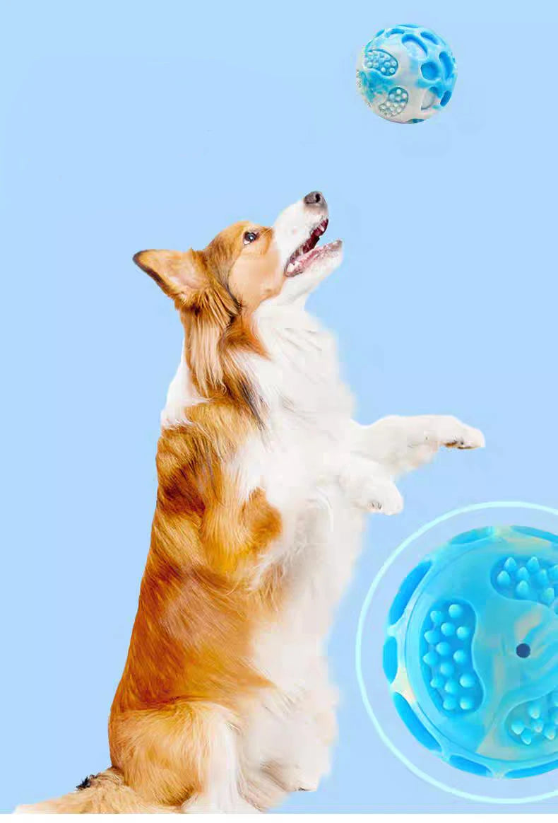 Durable Training Chew Toy by Tail chasers