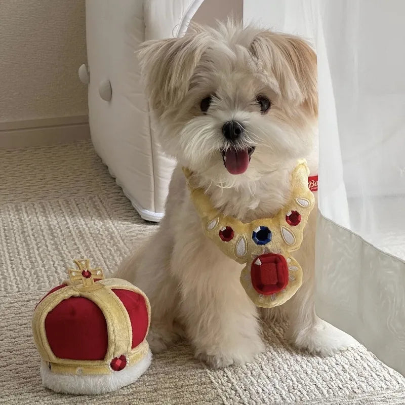 Luxury Pet Costume Set - Shiny Crown & Necklace for Dogs & Cats